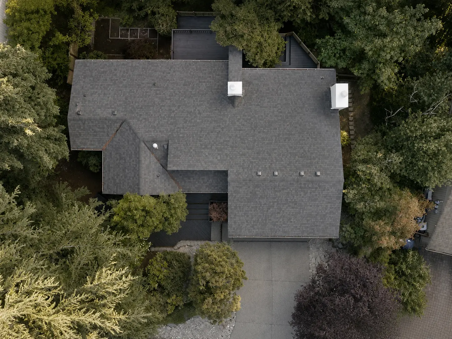 Aerial view of a GripGo Roofing shingle roof project in Bellevue, WA, surrounded by trees